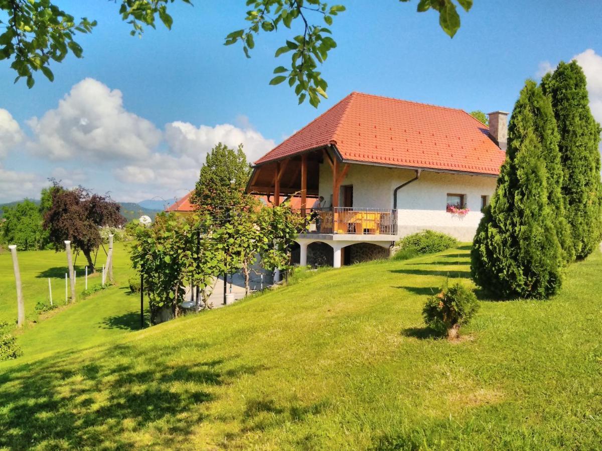 Holiday Home Dobrotin Vojnik Esterno foto
