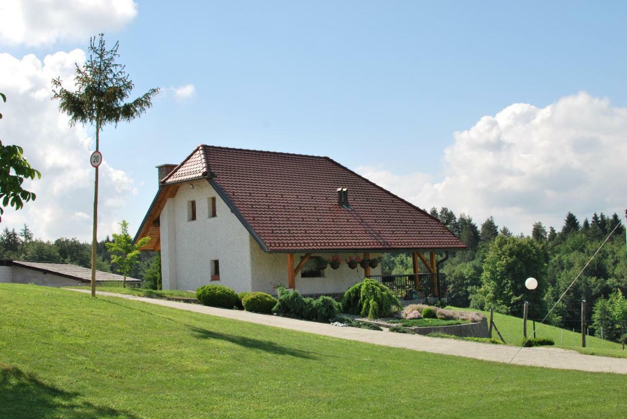 Holiday Home Dobrotin Vojnik Esterno foto