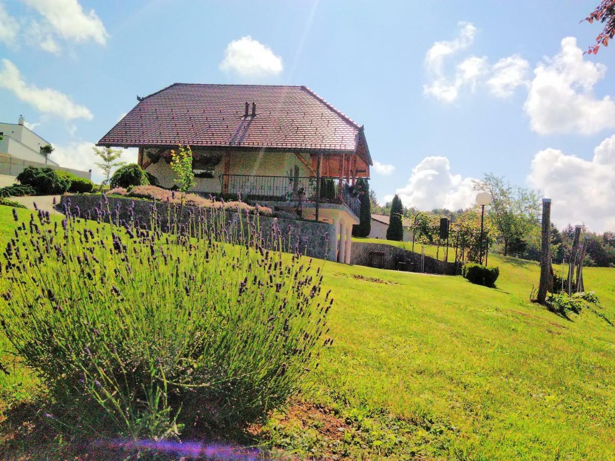 Holiday Home Dobrotin Vojnik Esterno foto